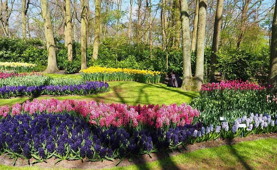 Peisajul din grădina Amsterdam Keukenhof puzzle online