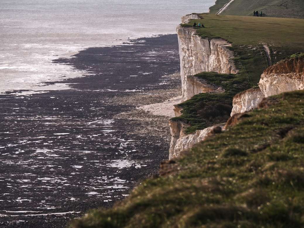 Cliffs and shore of Beachy Head. online puzzle
