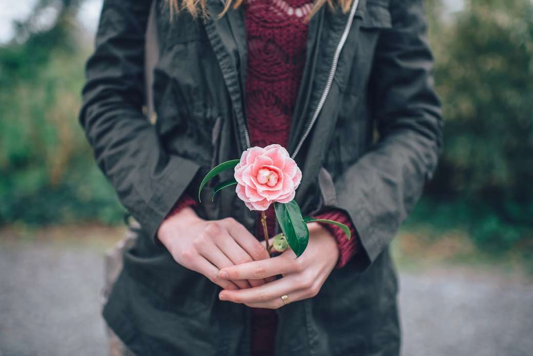 Rózsaszín bazsarózsa a nő kezében kirakós online