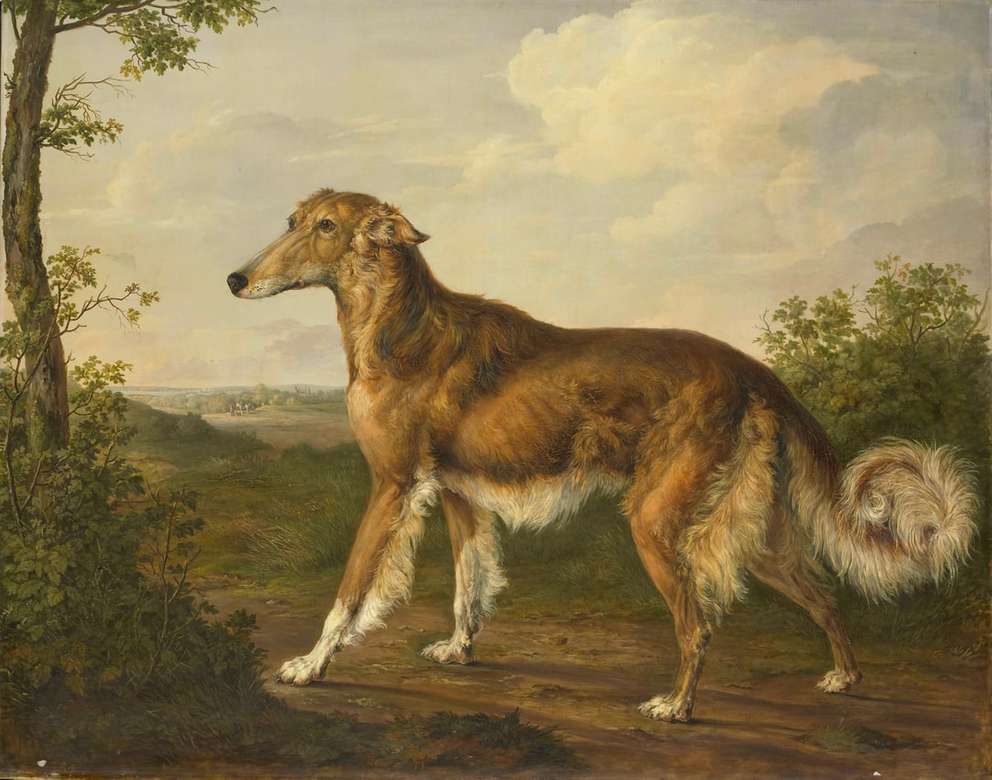 коричнево-белая длинношерстная собака на коричневом песке онлайн-пазл