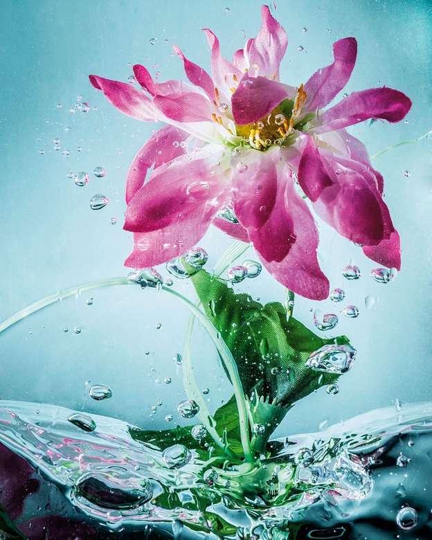 цвете във вода онлайн пъзел