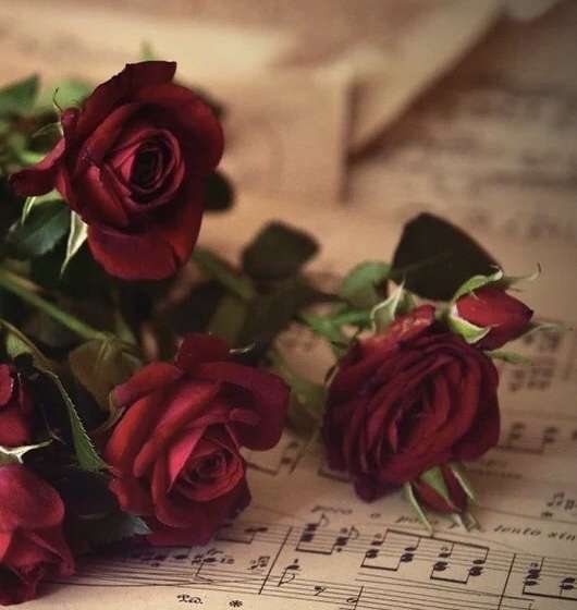 Na obrázku růže a noty kirakós online