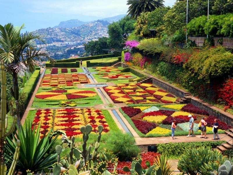Madeira - die Insel des ewigen Frühlings Puzzlespiel online