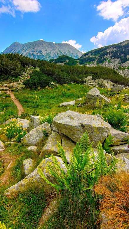 hegy - gyönyörű természet online puzzle