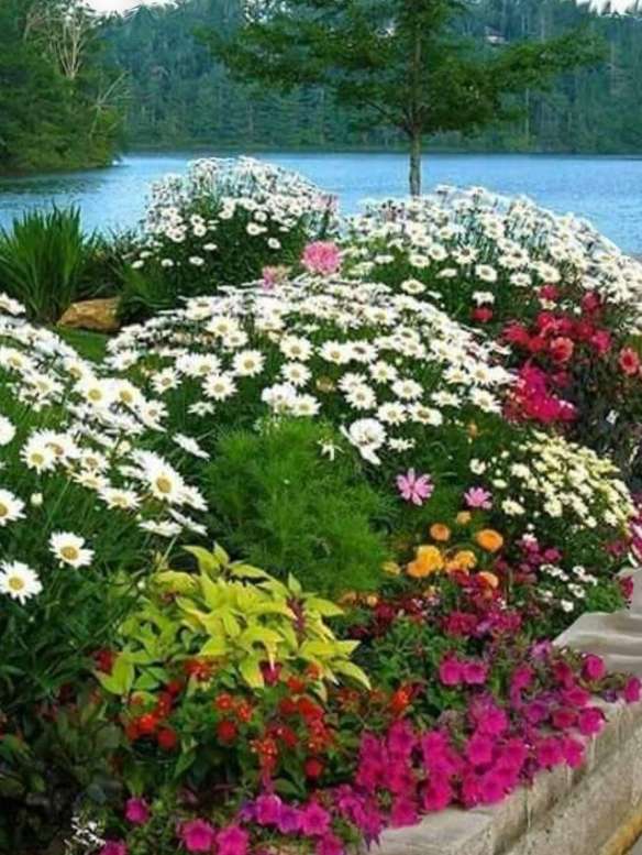 virágos kert kirakós online