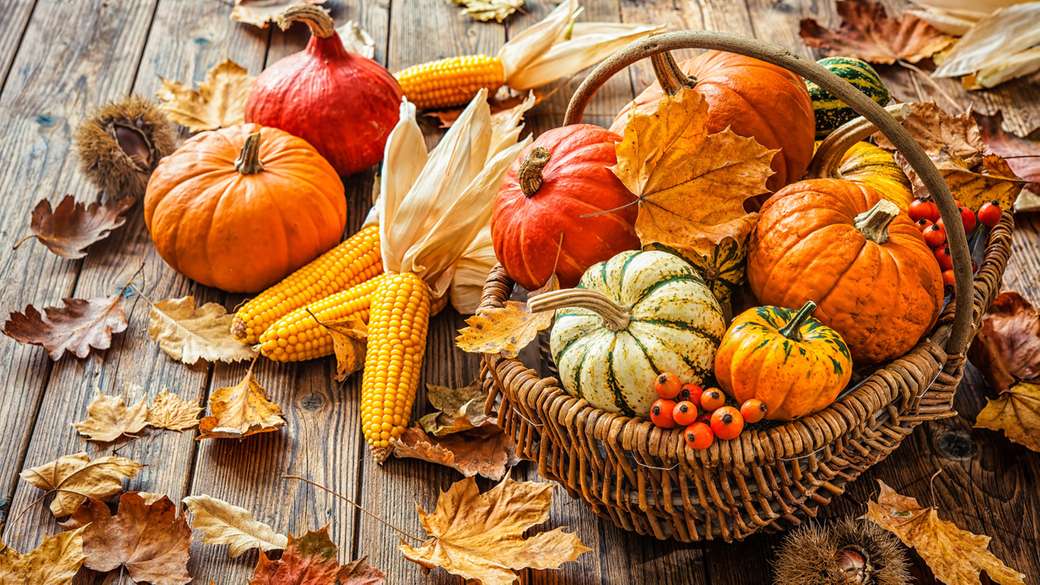 Autumn time is harvest thanksgiving time online puzzle