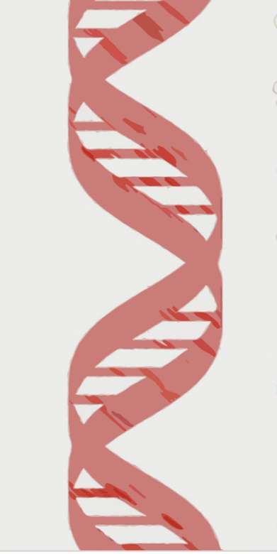 DNA-Wissenschaft Puzzlespiel online