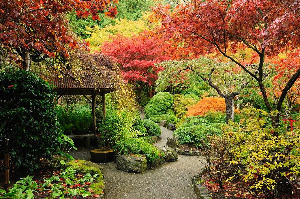 Zahrada v podzimním oděvu online puzzle