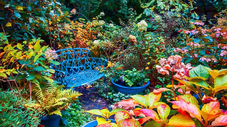 Se acerca el otoño en el jardín rompecabezas en línea