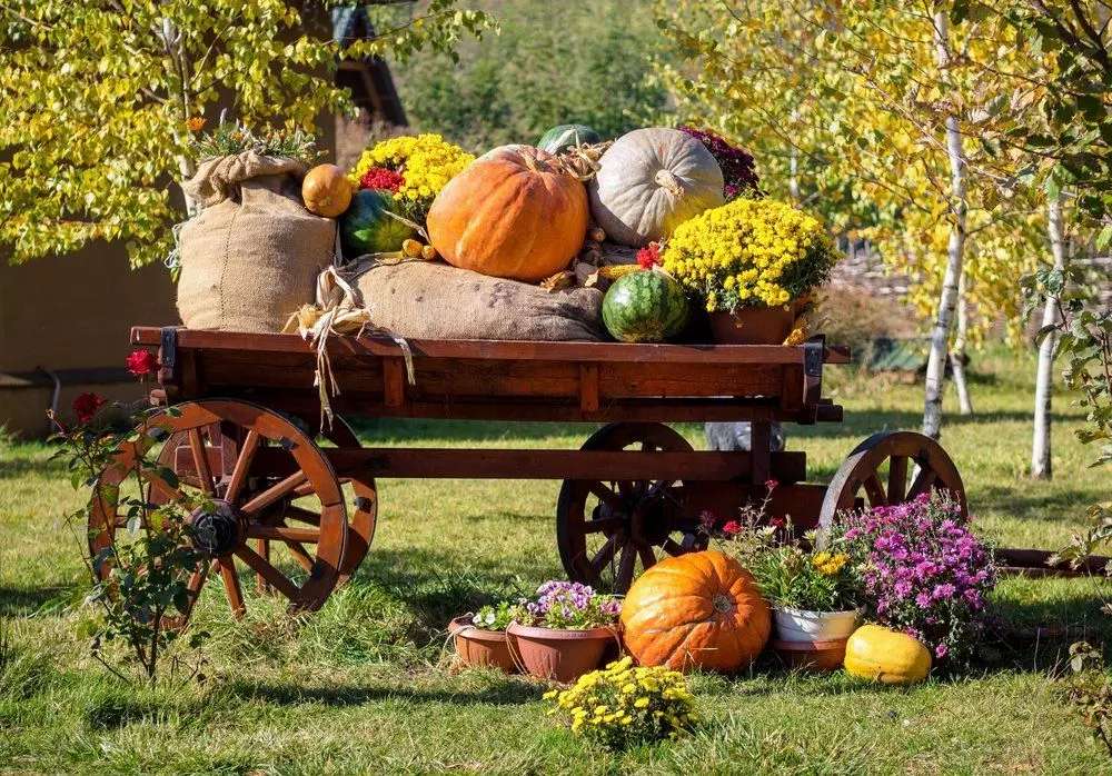 Herfst oogst in de tuin legpuzzel online