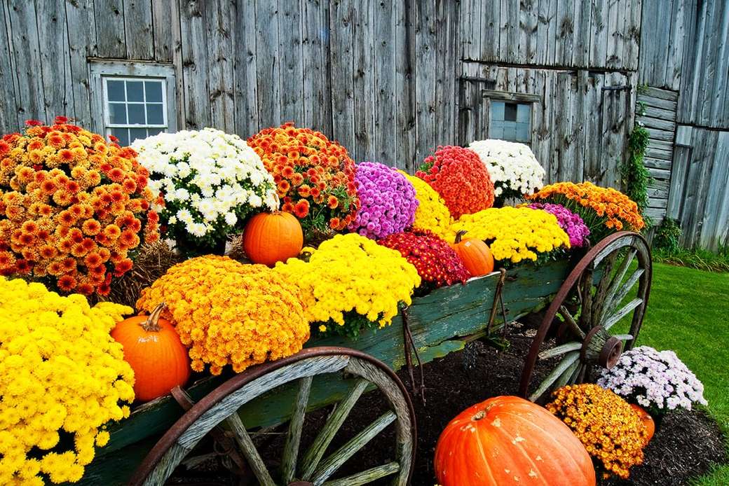 Autumn flowers and pumpkins in the cart online puzzle