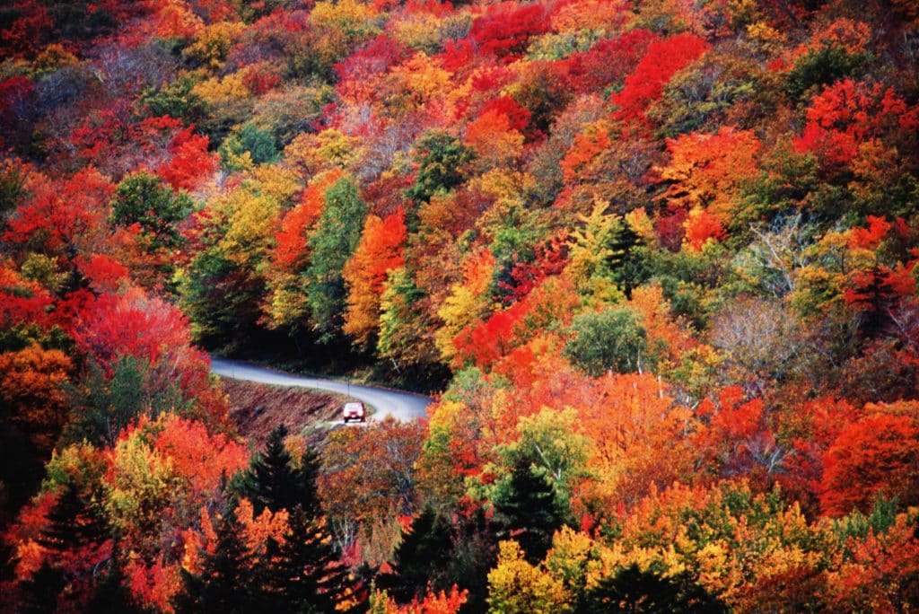 Fahrt durch eine wunderschöne Herbstlandschaft Online-Puzzle