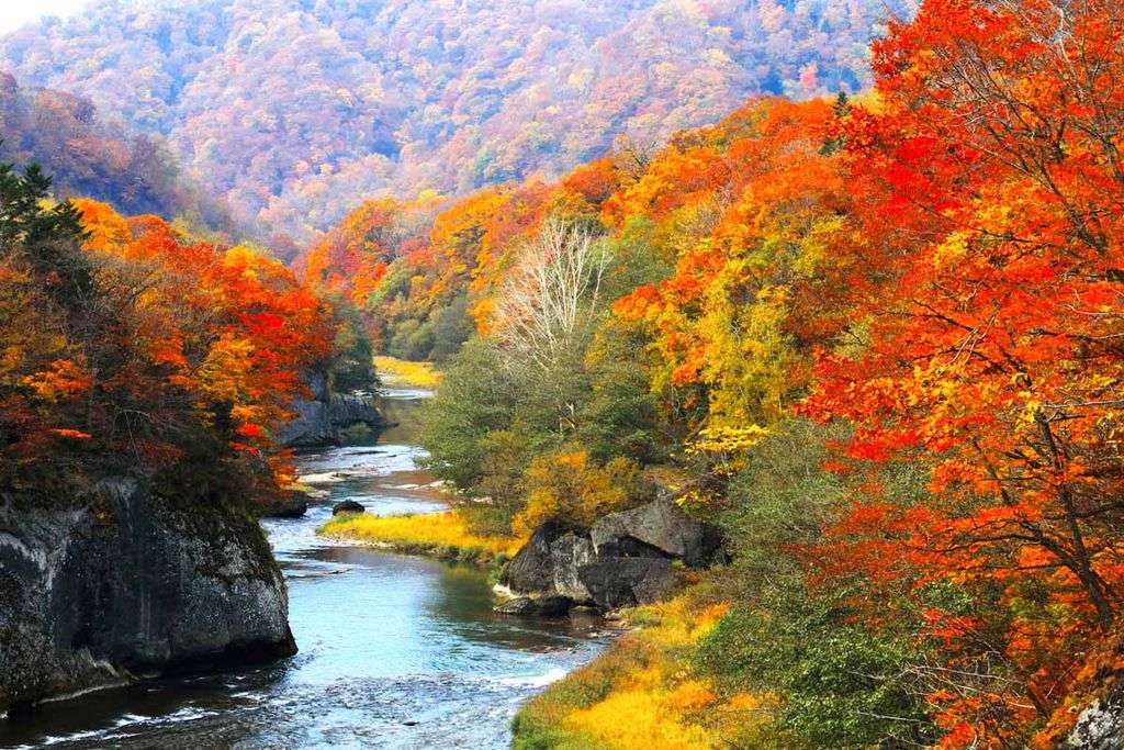 Herbstlandschaft am Fluss Online-Puzzle