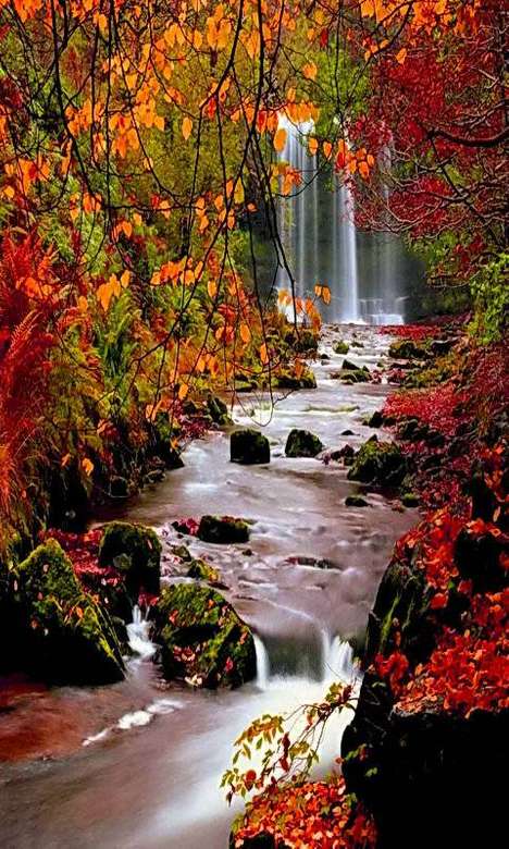 Herfst landschap met een waterval online puzzel