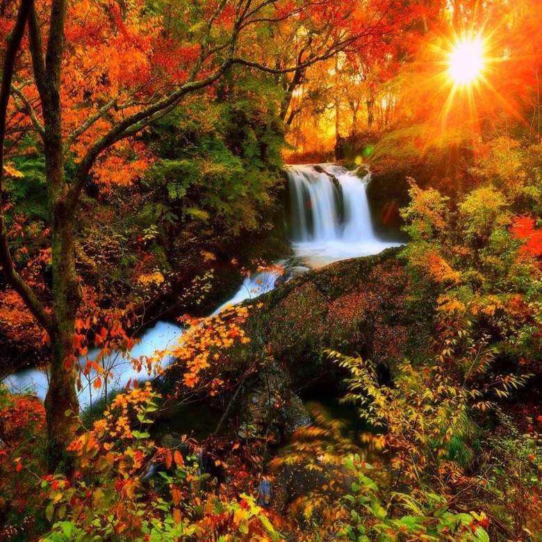 Podzimní krajina s vodopádem skládačky online