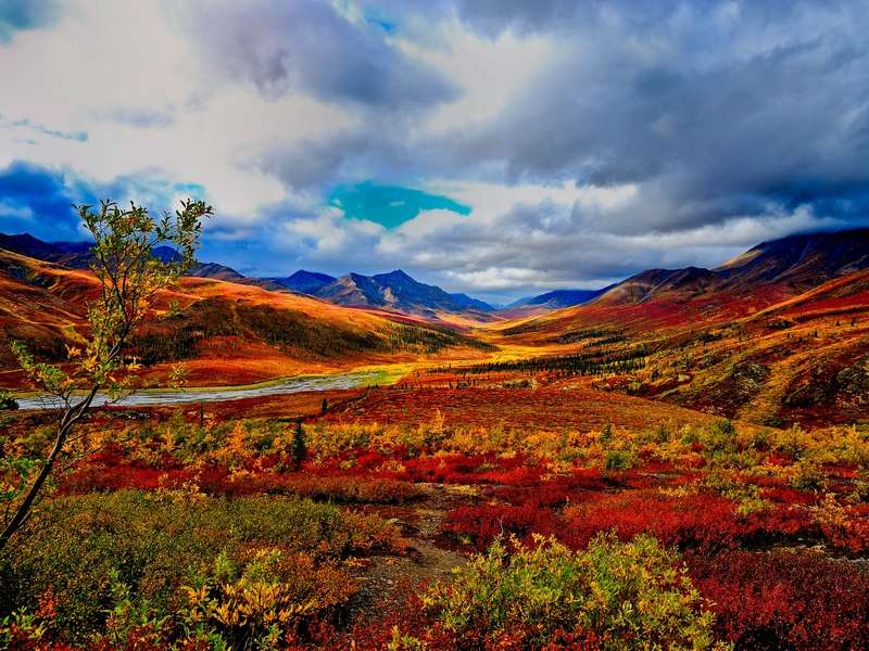 Осенний пейзаж в Канаде пазл онлайн
