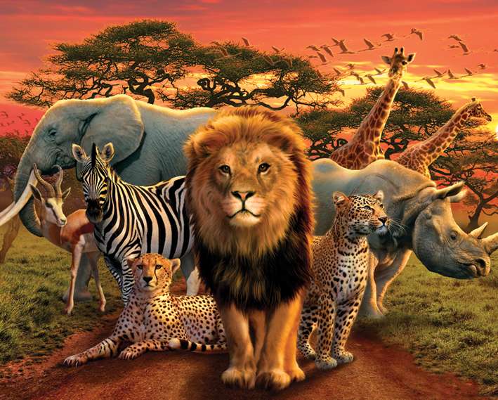 Afrikai állatok online puzzle