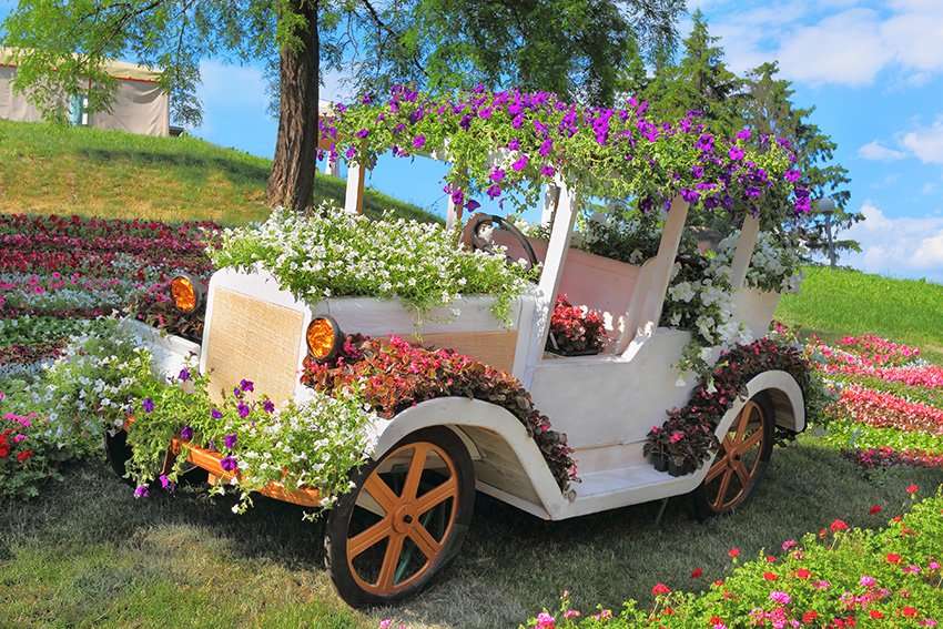 підставка для квітів (автомобіль) онлайн пазл