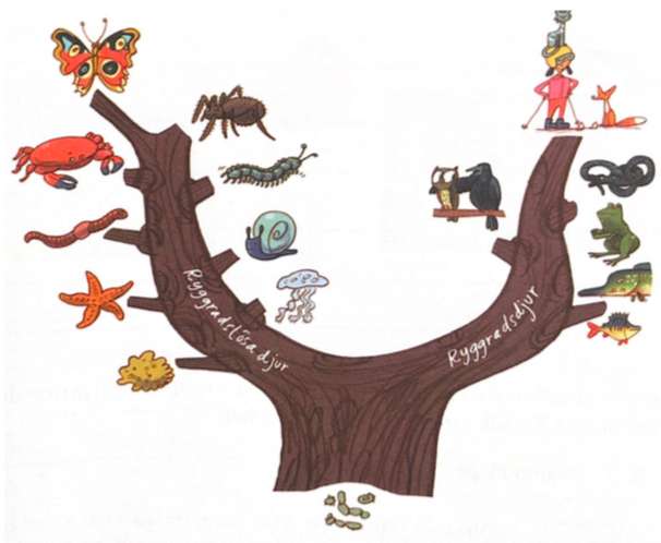 El árbol genealógico de los animales. rompecabezas en línea