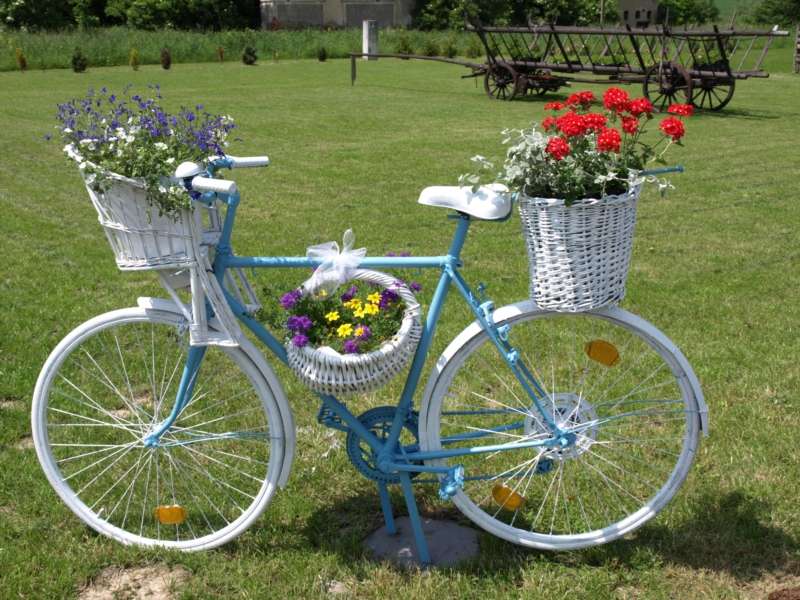 Das Fahrrad ist der Stolz des Gartens Online-Puzzle