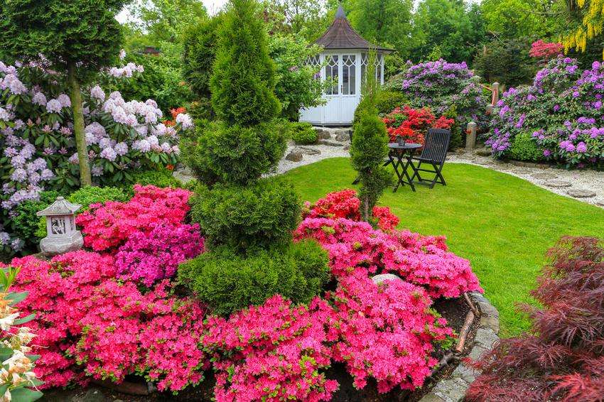 rhododendrons in the garden jigsaw puzzle online
