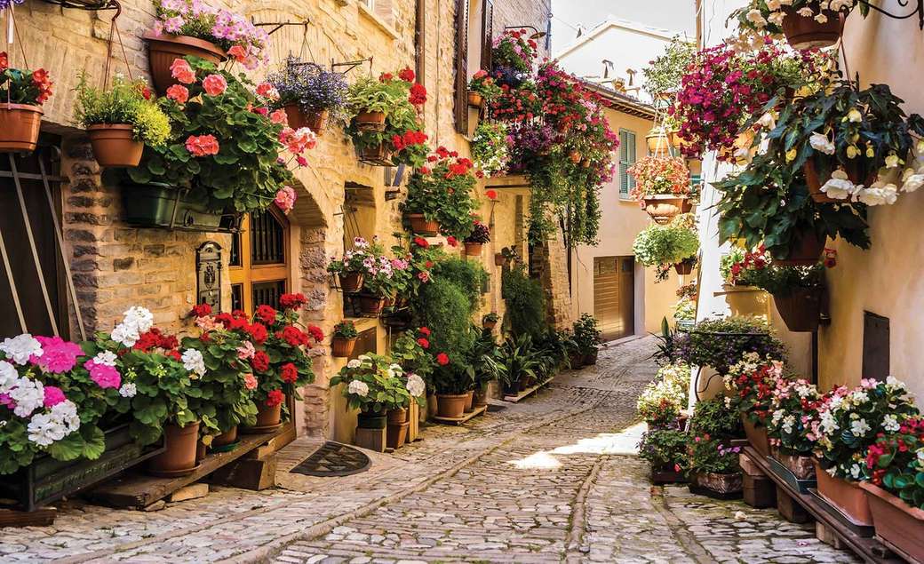italy- a street full of flowers jigsaw puzzle online