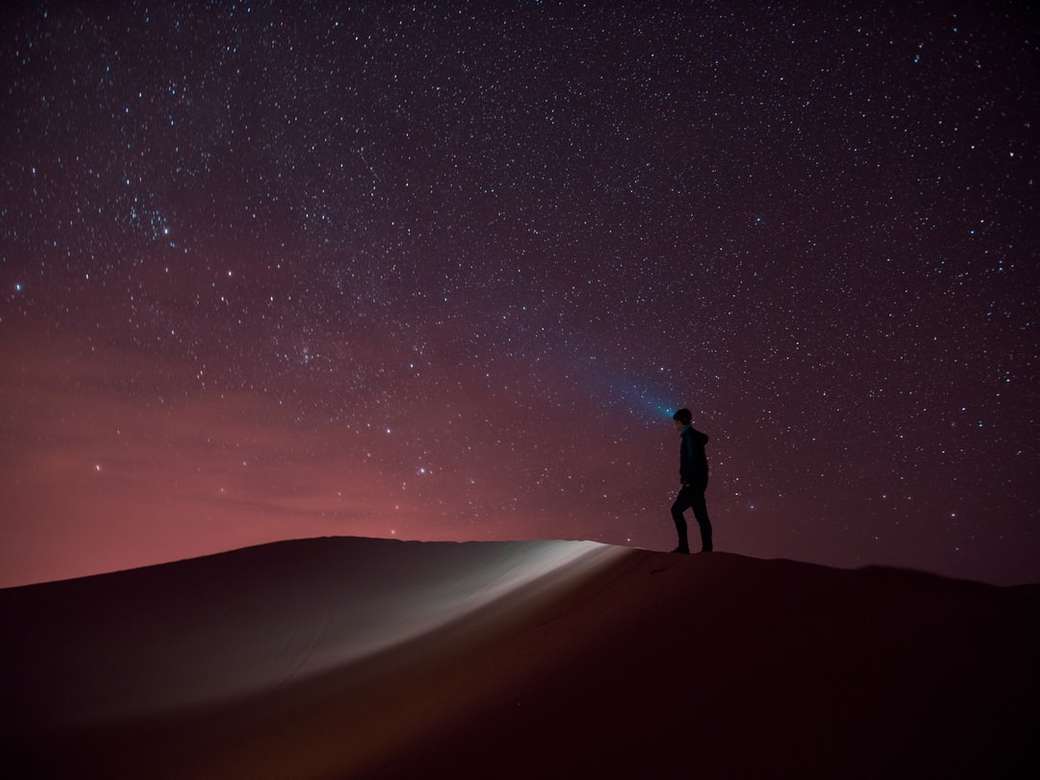Privitor de stele în deșertul Sahara puzzle online