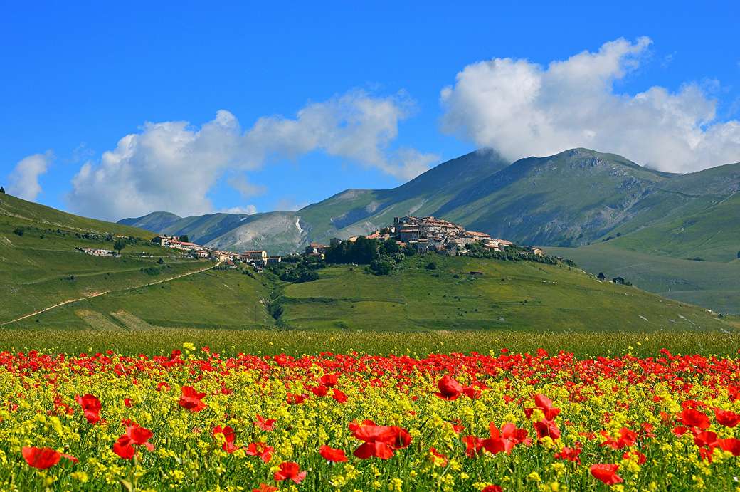 Wiese in den Mohnblumen in den italienischen Bergen Puzzlespiel online