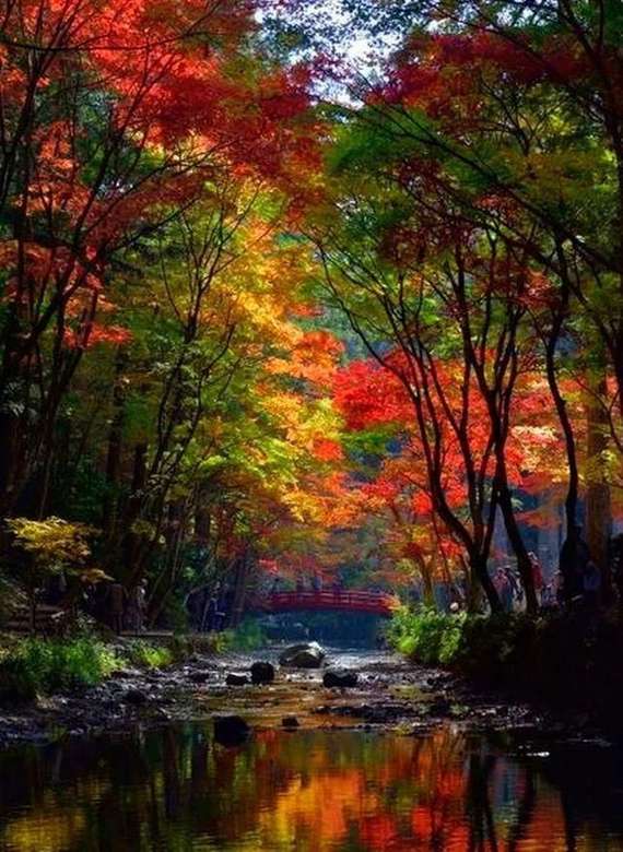 小川のそばの色とりどりの秋の木々 オンラインパズル