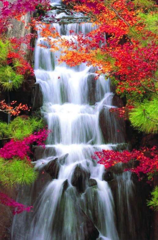 Осенний цвет листьев у водопада пазл онлайн