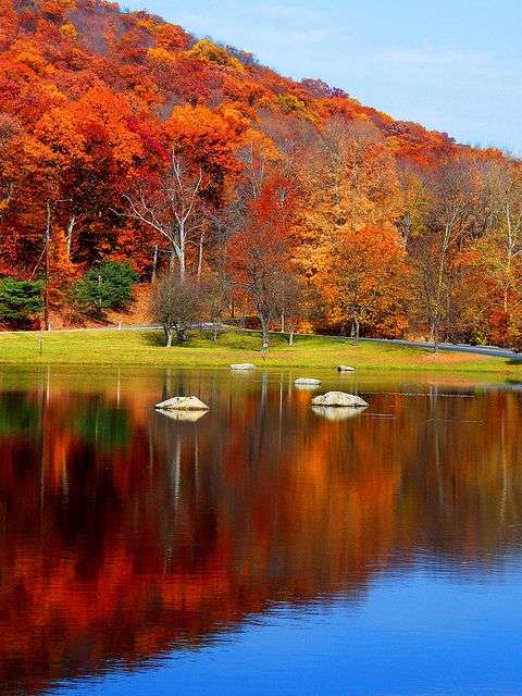 Paisaje de otoño colorido rompecabezas en línea