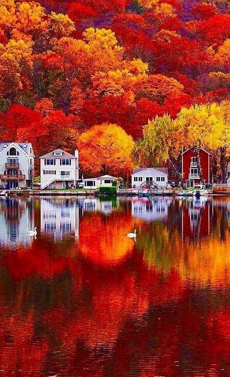 Fall in Connecticut USA jigsaw puzzle online
