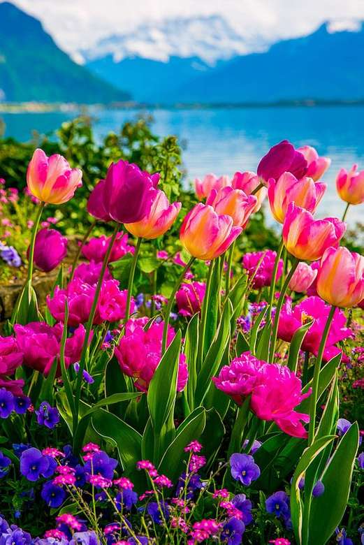 Flores en el lago de Ginebra rompecabezas en línea