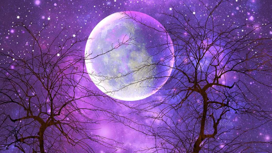Cielo nocturno violeta con luna llena. rompecabezas en línea