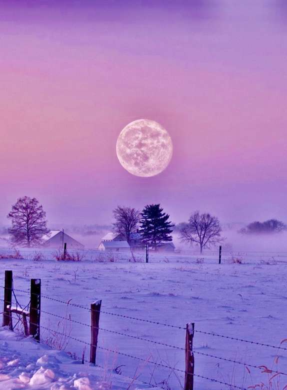 Виолетово небе с пълнолуние през зимата онлайн пъзел