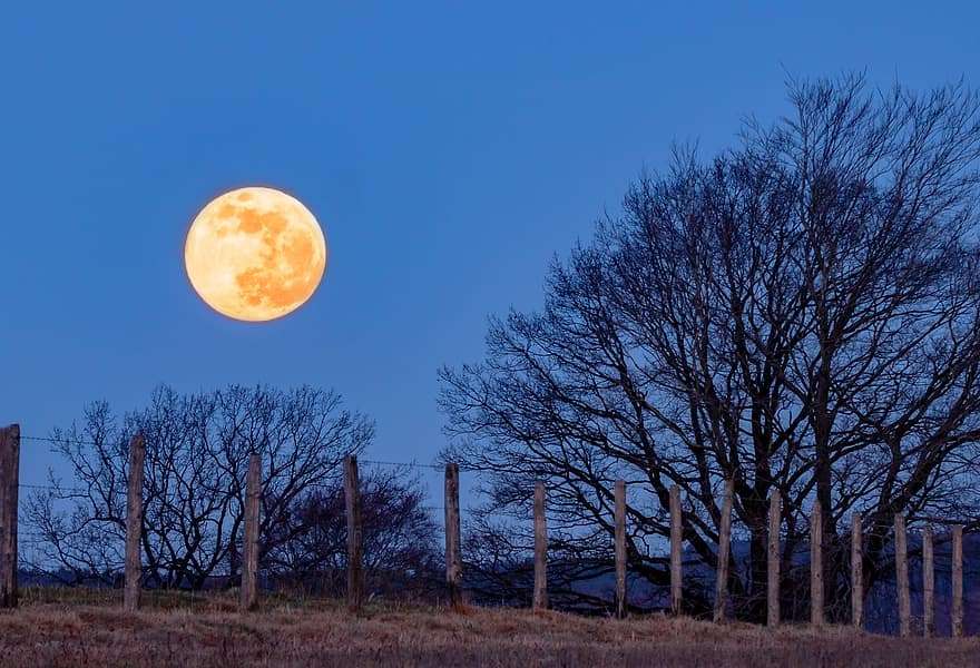 Hermosa luna llena en el campo rompecabezas en línea