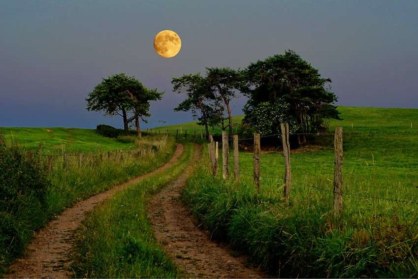 Vacker fullmåne på landsbygden Pussel online
