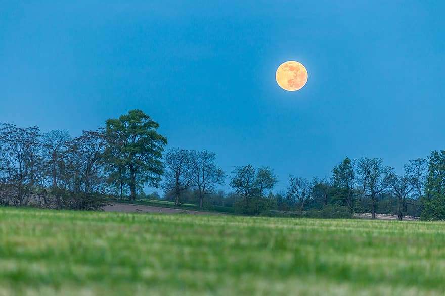 Mooie volle maan op het platteland legpuzzel online