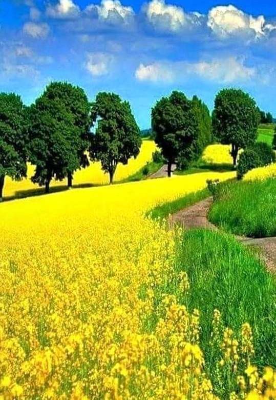 Gele velden met bomen online puzzel