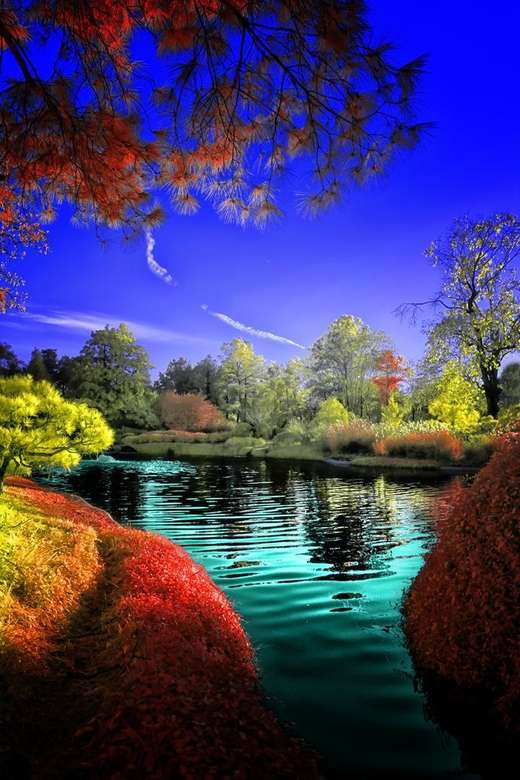 Beautiful play of colors in nature jigsaw puzzle online