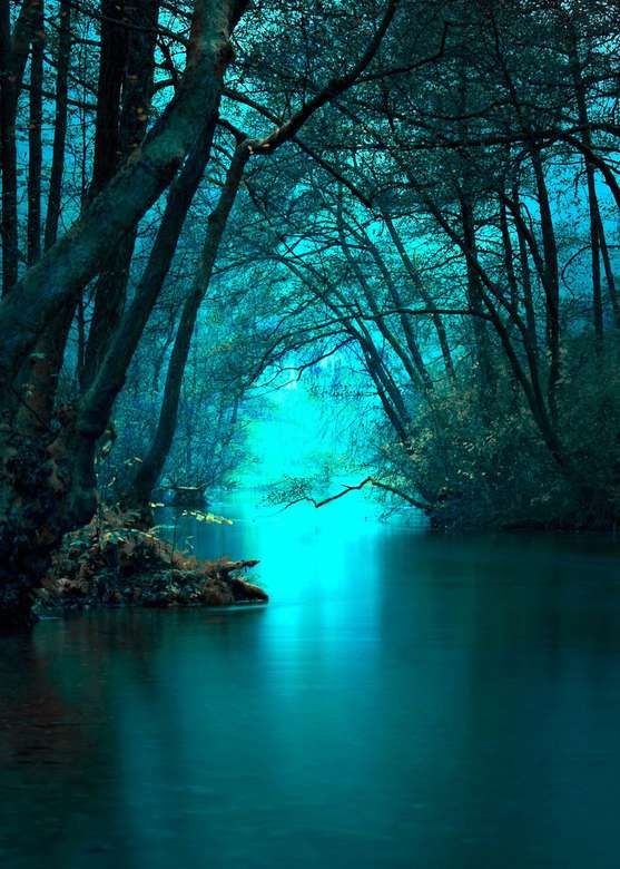 Trees by the water in turquoise online puzzle
