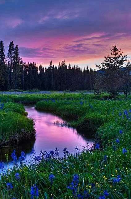Le ciel du soir violet se reflète dans le ruisseau puzzle en ligne