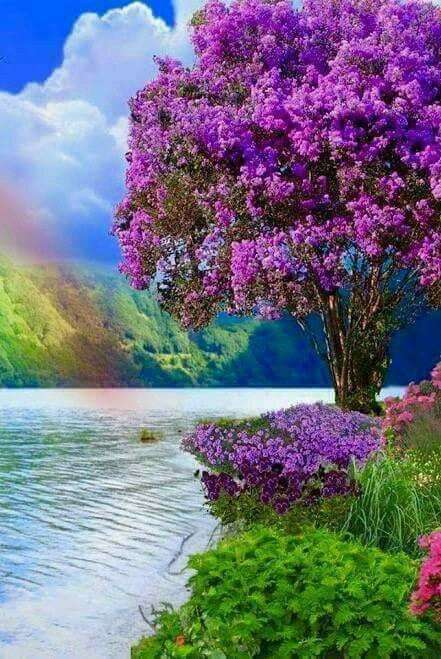Paisaje colorido del arco iris rompecabezas en línea