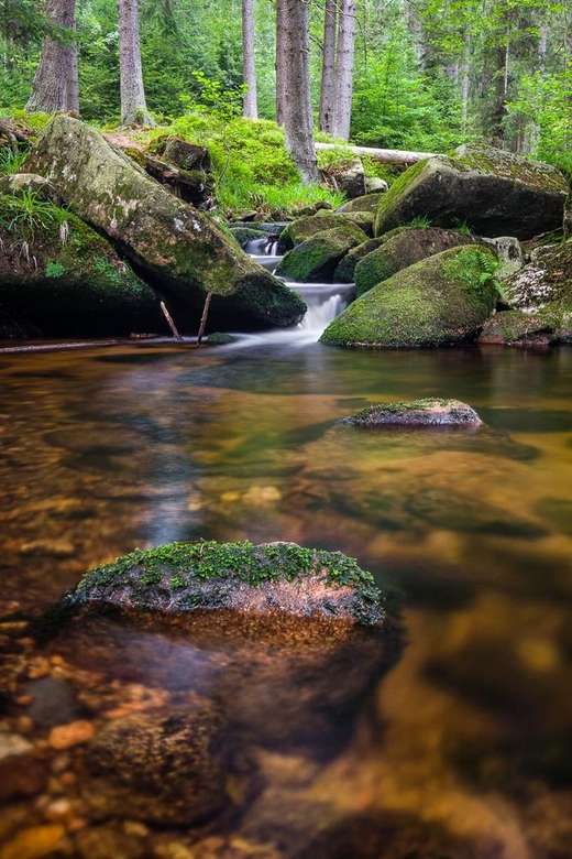 Pârâul cu gradient de apă în pădure puzzle online
