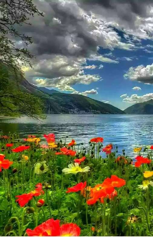 Цветочный луг у озера с горами онлайн-пазл