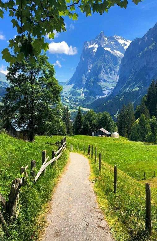 Path in a beautiful landscape jigsaw puzzle online
