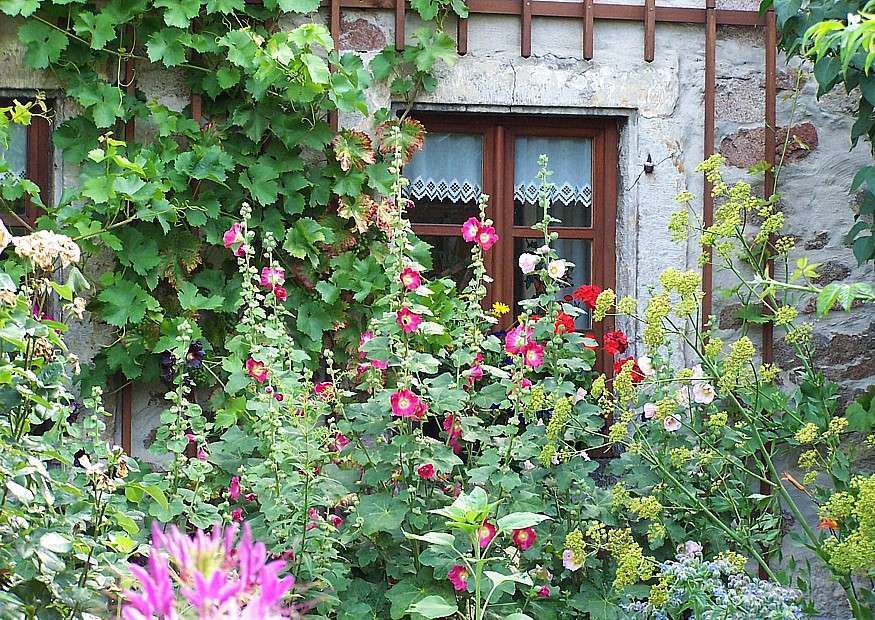 Котеджний сад перед старим кам'яним будинком пазл онлайн