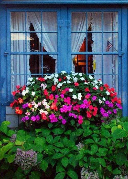 Blått fönster med blommor Pussel online