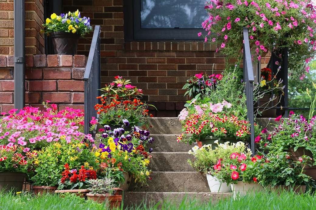 Αφθονία λουλουδιών μπροστά από το σπίτι παζλ online