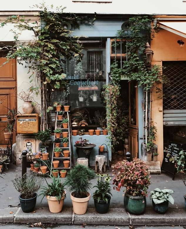Квітковий магазин в Парижі онлайн пазл